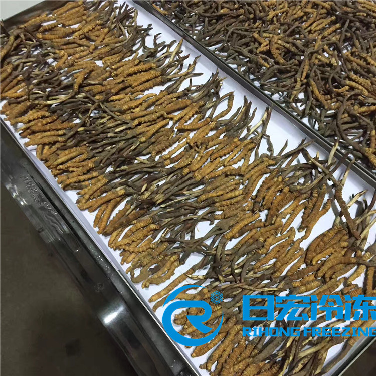 ���ɶ��x�Ĳ�