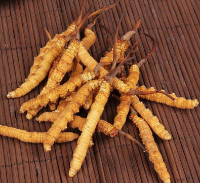 ���x�Ĳ݃��əC(j��)