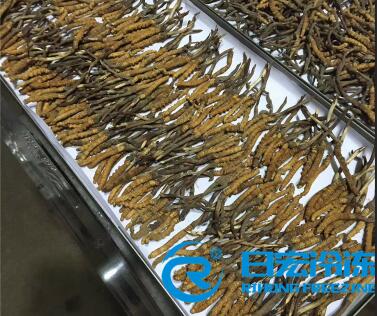 ��ˎ�ă��əC(j��)