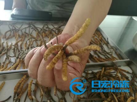 ���x�Ĳ݃��əC(j��)