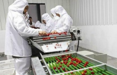 ��Ξ���߃��əC�M�б��B�T