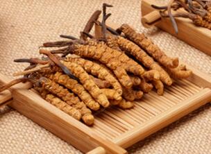 �����t(y��)����ο������x(ch��ng)�Ĳݵģ�