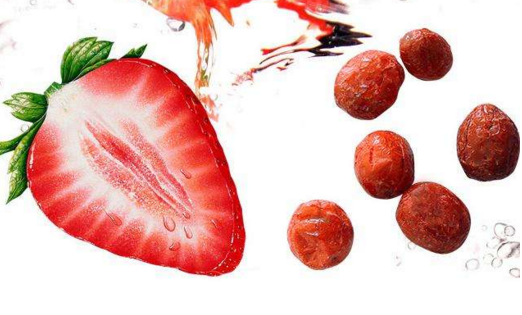 ��ʿ�����s�C