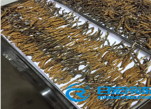 �x�݃��əC(j��)��ʹ��ע�����(xi��ng)